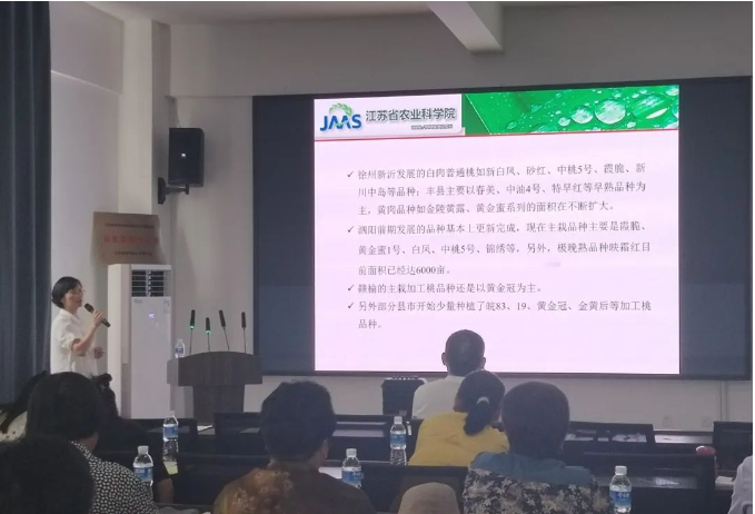 圖片11.png 圖片11.png