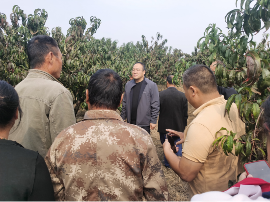 二十四節氣鄉村振興大講堂走進新沂市781.png 二十四節氣鄉村振興大講堂走進新沂市781.png