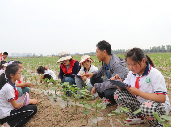 徐州市農(nóng)學(xué)會組織青少年科普活動—行走的研學(xué)課堂 農(nóng)科院探秘499.png 徐州市農(nóng)學(xué)會組織青少年科普活動—行走的研學(xué)課堂 農(nóng)科院探秘499.png
