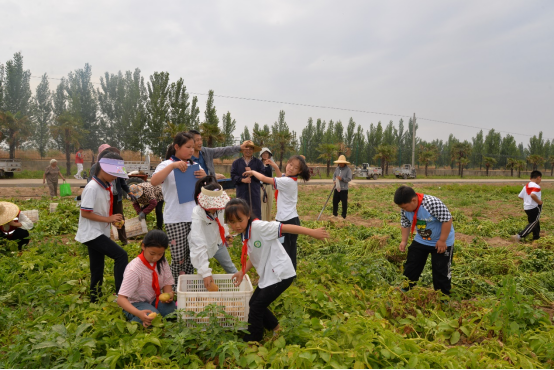 徐州市農(nóng)學(xué)會組織青少年科普活動—行走的研學(xué)課堂 農(nóng)科院探秘594.png