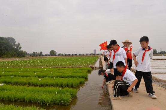 徐州市農(nóng)學(xué)會組織青少年科普活動—行走的研學(xué)課堂 農(nóng)科院探秘702.png 徐州市農(nóng)學(xué)會組織青少年科普活動—行走的研學(xué)課堂 農(nóng)科院探秘702.png