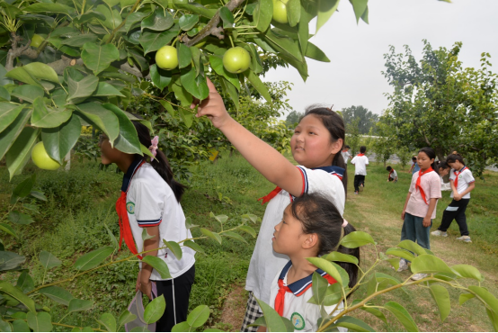 徐州市農(nóng)學(xué)會組織青少年科普活動—行走的研學(xué)課堂 農(nóng)科院探秘795.png