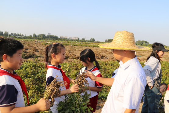 徐州市農學會舉辦青少年科普活動(2)641.png 徐州市農學會舉辦青少年科普活動(2)641.png