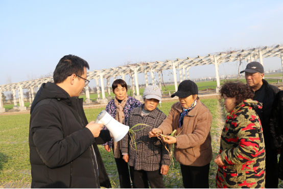 徐州市農(nóng)學(xué)會(huì)組織專家赴大廟街道開展技術(shù)培訓(xùn)-定稿724.png 徐州市農(nóng)學(xué)會(huì)組織專家赴大廟街道開展技術(shù)培訓(xùn)-定稿724.png