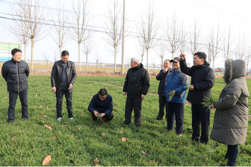 徐州市農(nóng)學會開展小麥春管科技志愿服務(wù)183.png