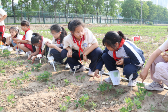 探秘科技前沿,啟迪創新夢想-徐州市農學會組織開展科普活動(審核)605.png 探秘科技前沿,啟迪創新夢想-徐州市農學會組織開展科普活動(審核)605.png