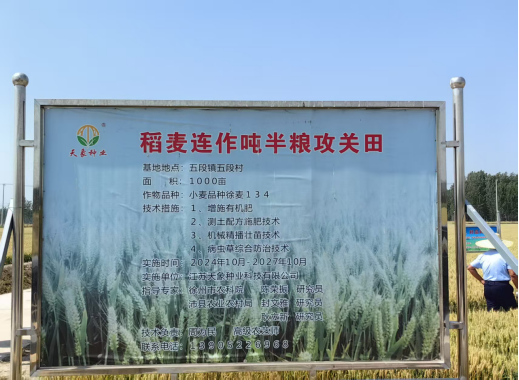 徐州噸半糧攻關小麥示范產量取得突破316.png 徐州噸半糧攻關小麥示范產量取得突破316.png