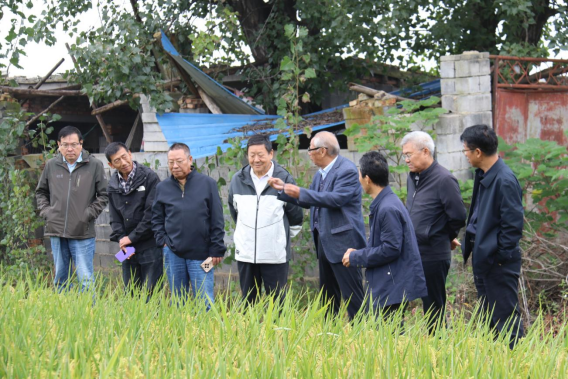 徐州市科協(xié)現(xiàn)代農(nóng)業(yè)領(lǐng)域?qū)W會(huì)聯(lián)合體組織開(kāi)展水稻觀摩和秋播指導(dǎo)活動(dòng)(通訊稿)373.png 徐州市科協(xié)現(xiàn)代農(nóng)業(yè)領(lǐng)域?qū)W會(huì)聯(lián)合體組織開(kāi)展水稻觀摩和秋播指導(dǎo)活動(dòng)(通訊稿)373.png