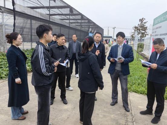江蘇省科協(xié)農(nóng)村中心主任張杰一行赴邳州市大莊農(nóng)業(yè)科技小院調(diào)研科技助農(nóng)工作26.png