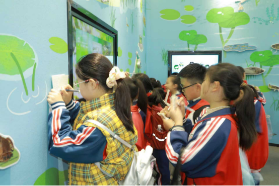 沛縣實驗小學開展安國湖濕地公園研學活動296.png
